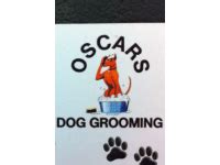 Oscars Dog Grooming